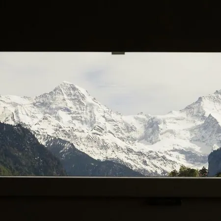 Hostel Adventure Interlaken *